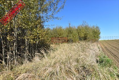 działka na sprzedaż 2200m2 działka Morawica