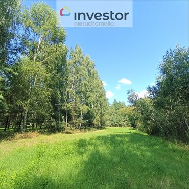 Działka inna na sprzedaż Chotyłów 9 549m2 Foto 4