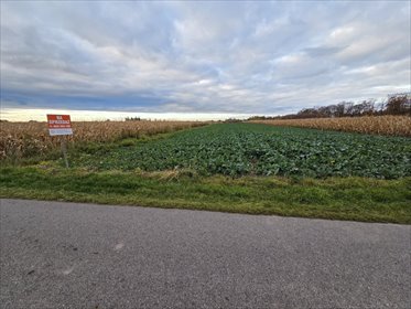 działka na sprzedaż 1165m2 działka Wiązownica