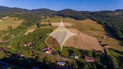 działka na sprzedaż 12600m2 działka Wojciechowice