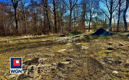 działka na sprzedaż 3100m2 działka Lulemino, Lulemino