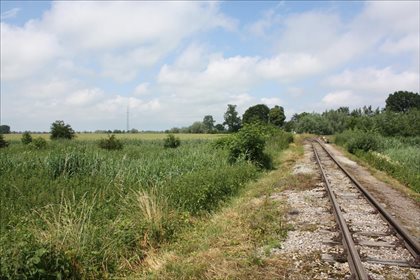 Działka rolna na sprzedaż Świerznica, Stegna 80 300m2 Foto 2
