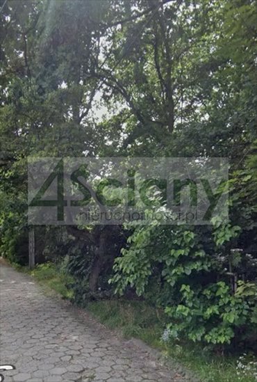 działka na sprzedaż 2500m2 działka Milanówek