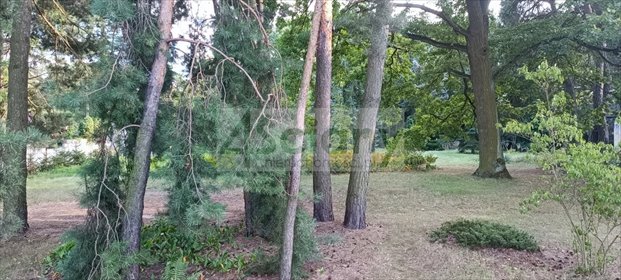 Działka 2355 m² z domem i budynkami w Milanówku polecam działka Milanówek