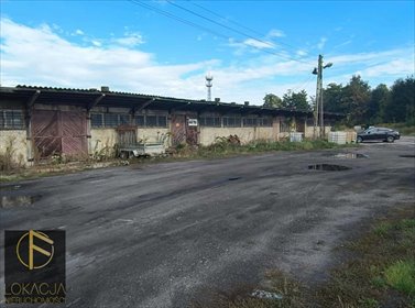 Magazyn 550 m² w Kaliszu (dostępne części) z możliwością dostosowania lokal użytkowy Kalisz