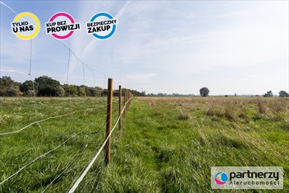 Działka inna na sprzedaż Junoszyno 5 200m2 Foto 4