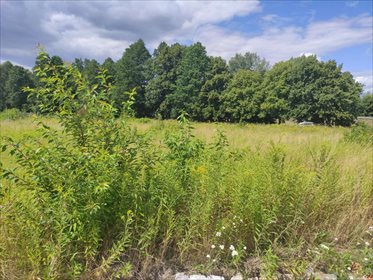 działka na sprzedaż 2001m2 działka Nieporęt, Nieporęt, Zegrzyńska