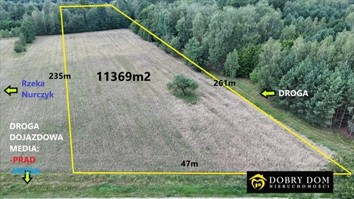 działka na sprzedaż 11369m2 działka Pokaniewo-Kolonia