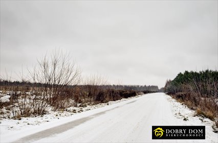 działka na sprzedaż 22546m2 działka Kruszyniany