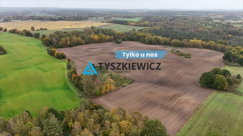 działka na sprzedaż 86943m2 działka Borowina, Wiejska