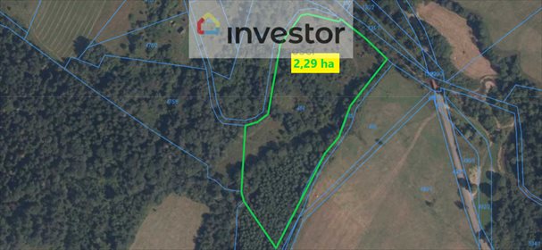 działka na sprzedaż 22900m2 działka Wola Niżna