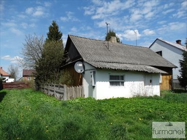 Działka budowlana na sprzedaż Aleksandrów 8 800m2 Foto 1