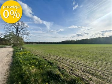 działka na sprzedaż 92000m2 działka Ostrowina