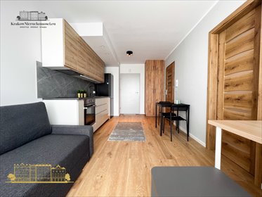 mieszkanie na wynajem 30m2 mieszkanie Kraków, Dębniki, Dębniki, dr. Jana Piltza