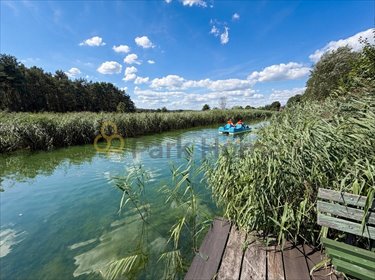 Działka 4 869 m² z linią brzegową Obry - las i jezioro działka Uście