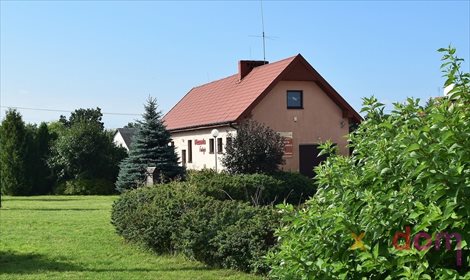 lokal użytkowy na sprzedaż 129m2 lokal użytkowy Piotrkowice