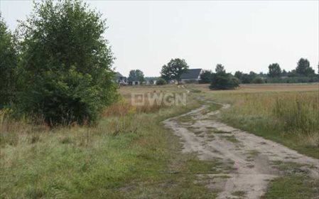 Działka budowlana na sprzedaż Sucha Górna, Sucha Górna 21 311m2 Foto 5