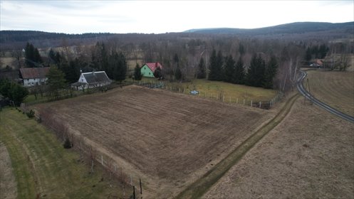 działka na sprzedaż 2900m2 działka Kwieciszowice
