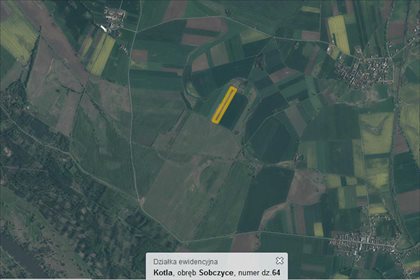 Działka rolna na sprzedaż Sobczyce, Kotla 26 600m2 Foto 4