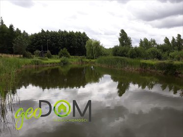 Działka 1 ha z lasem i stawem - idealna pod budowę. działka Pawłów, Szkolna