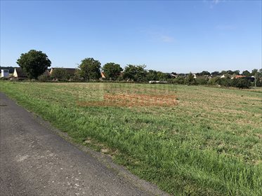 Działka inna na sprzedaż Dobieszowice 2 550m2 Foto 1