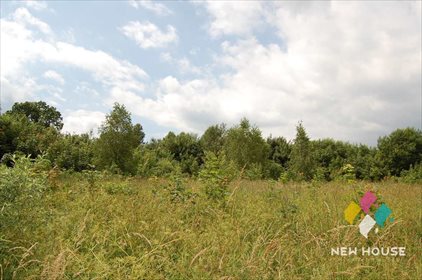 Działka budowlana na sprzedaż Sętal 5 925m2 Foto 4