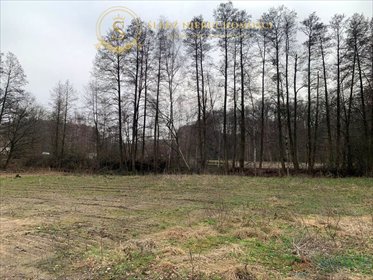Działka pod lasem 8122 m², spokój i przyroda blisko Wołowa działka Straszowice
