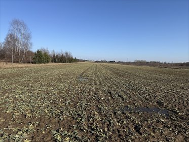 działka na sprzedaż 33500m2 działka Natolin