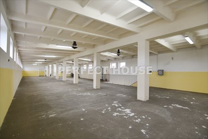 Sprzedam obiekt produkcyjno-magazynowy 1426 m² w Wielkopolsce lokal użytkowy Brzózki, Chmielnik