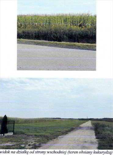 Udział 1/2 w działce 2700 m² w Osieku – atrakcyjna okazja działka Osiek