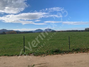 Działka 1877 m² z widokami - las i góry w Janowicach działka Jelenia Góra