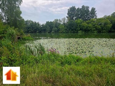 Urokliwy dom nad jeziorem z własną linią brzegową dom Białobrzegi, Długa