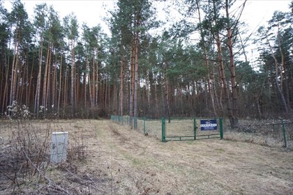 Działka rekreacyjna z warunkami zabudowy, 2927 m2 działka Czerwona Wola, Czerwona Wola