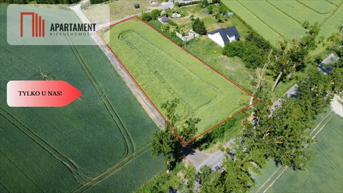 Działka 3001 m² z warunkami zabudowy (Więzowno) działka Więzowno