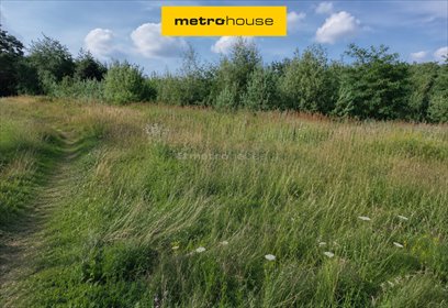 Działka budowlana 1362 m² w Mogilno Duże – WZ, spokojna okolica działka Mogilno Duże