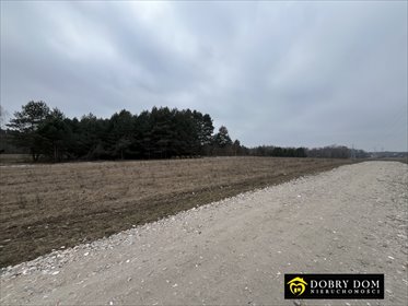 Działka 1200 m² w Olmontach z mediami i spokojem działka Olmonty