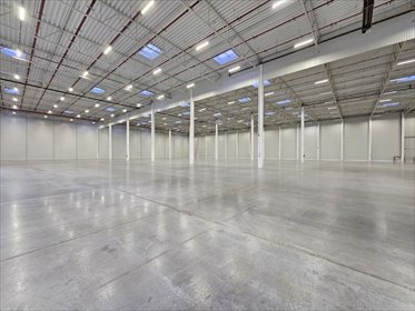 magazyn na wynajem 9450m2 magazyn Kobyłka, Ciemne Radzymin Kobyłka