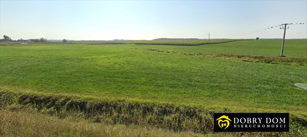 działka na sprzedaż 3368m2 działka Wiśniewo