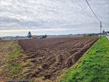 Działka 30 arów z mediami i asfalt zapraszam działka Celiny