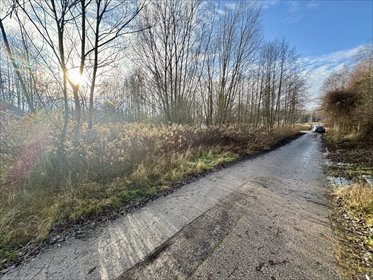 działka na sprzedaż 1900m2 działka Borowina