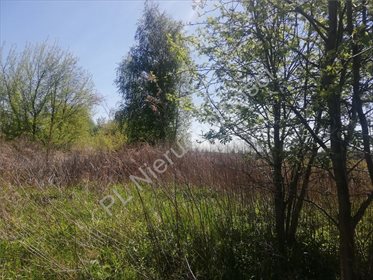 działka na sprzedaż 1008m2 działka Pęcice