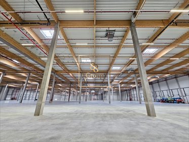 Magazyn 2000 m2 w nowoczesnym centrum logistycznym magazyn Duchnów