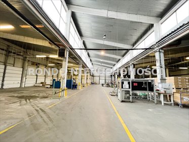 Magazyn 1850 m² z biurem, dokami i wysokimi sufitami magazyn Wrocław, Fabryczna