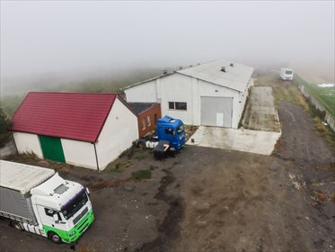 Lokal użytkowy na sprzedaż Nowy Gołębin 1 100m2 Foto 1
