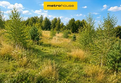 Działka budowlana 954 m² w Feliksowie – cicha okolica działka Feliksów