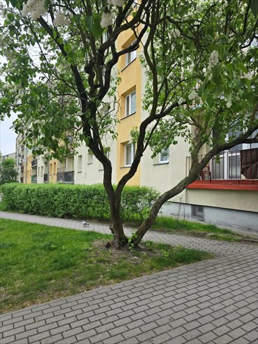 3-pokojowe mieszkanie 55 m² w centrum Zduńskiej Woli mieszkanie Zduńska Wola