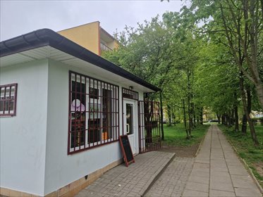 Lokal usługowo-handlowy 50 m² z witrynami i parkingiem lokal użytkowy Piotrków Trybunalski