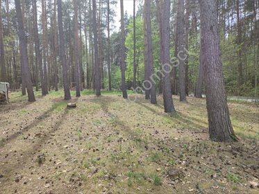 Działka budowlana 1730 m² w Osowcu (las, media w ulicy) działka Osowiec