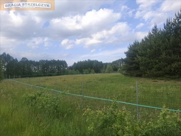Działka budowlana 2202 m² pod dom i inwestycję działka Nowy Brańszczyk