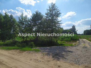 Działka inna na sprzedaż Nowy Lubiel 4 484m2 Foto 3